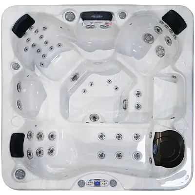 Avalon EC-849L hot tubs for sale in Corvallis